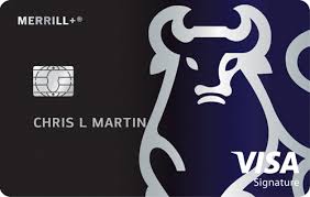 Merrill Lynch Tradeline $53,700.00